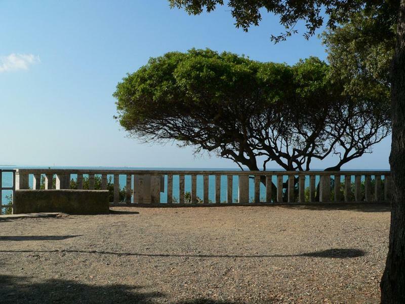 卡斯蒂利翁切洛Ghianda Marina Vista Mare Stupenda E 100 Mt Dalla Spiaggia, Accanto Pineta别墅 外观 照片